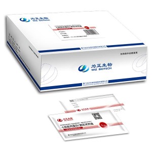 Low MOQ for Hiv 1+2 Rapid Test Kit -<br />
 Diagnostic Kit for Alpha-fetoprotein (fluorescence immunochromatographic assay) - Baysen