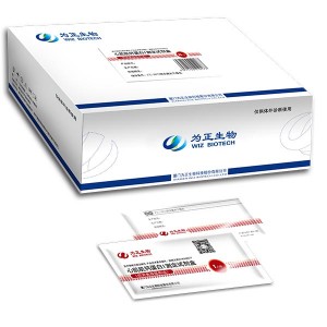 Hot Selling for Professional Body Composition Analyzer -<br />
 Diagnostic Kit for Testosterone  (fluorescence immunochromatographic assay) - Baysen