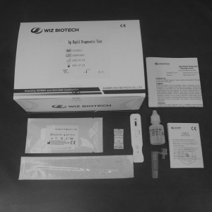 Factory Promotional Baby Temperature Monitor - COVID 19 Antigen ag rapid test kit – Baysen