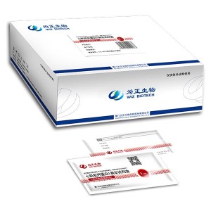 Chinese Professional R Pylori Ag (hp-ag) Feces -<br />
 Diagnostic Kit for Cardiac Troponin I (fluorescence immunochromatographic assay) - Baysen