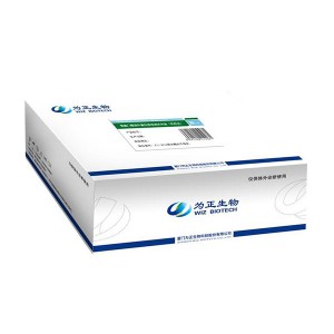 factory Outlets for Crp Diagnostic Kit -<br />
 Diagnostic Kit（LATEX）for Antigen to Helicobacter Pylori - Baysen