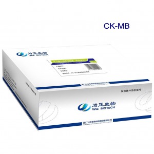High definition Medical Laboratory Diagnostic Test Kits -<br />
 Diagnostic Kit for Isoenzyme MB of Creatine Kinase(fluorescence immunochromatographic assay) - Baysen