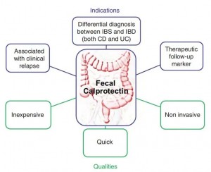 Cal test