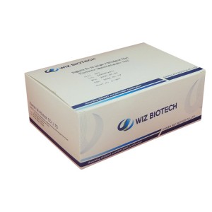 2017 New Style Salt Spray Test Chamber Price - Diagnostic Kit for Antigen to Helicobacter Pylori  (Fluorescence Immunochromatographic Assay) – Baysen