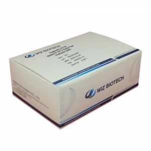 Ordinary Discount Crp Diagnostic Kit - Malaria PF PV Rapid Test Colloidal Gold  – Baysen