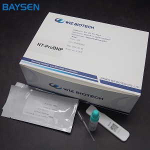Cheap price One Step Hiv Home Use Test - Cardiovascular Diagnostic Kit-NT-proBNP – Baysen