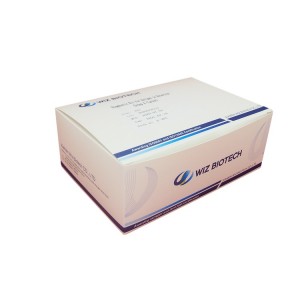 China Cheap price E2 Rapid Test Kit -  Diagnostic kit for Antigen to Rotavirus Latex – Baysen