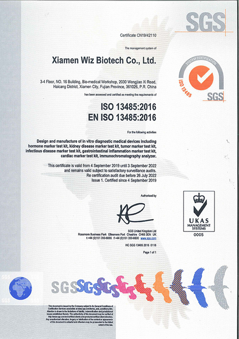 CERTIFICAZIONE WIZ ISO