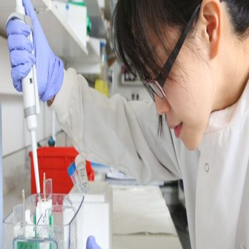 פתיחת לוח המחוונים של הסוכרת: הבנת HbA1c, אינסולין ו-C-פפטיד