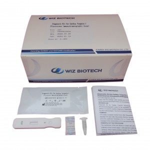 High definition Colloidal Gold Hcg Rapid Test Strip - hot sales CK-MB rapid test kit from china factory – Baysen
