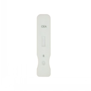 Good Quality Water Tank Level Meter Indicator - Diagnostic kit for Carcino-embryonic antigen ( Fluorescence immunochromatographic assay) – Baysen
