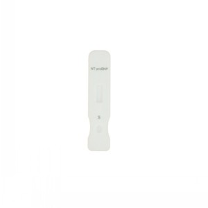 High reputation C Reactive Protein Test Cassette - Cardiovascular Diagnostic Kit-NT-proBNP – Baysen