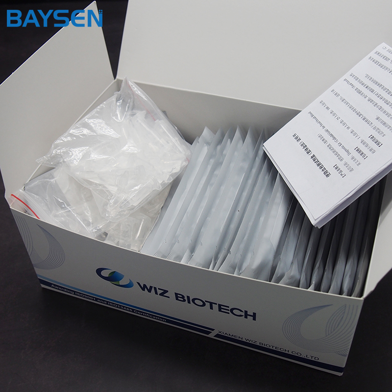 High Quality for Diabetic Test Strips - Diagnostic kit for C-reative protein (CRP) Quantitative Cassette – Baysen detail pictures