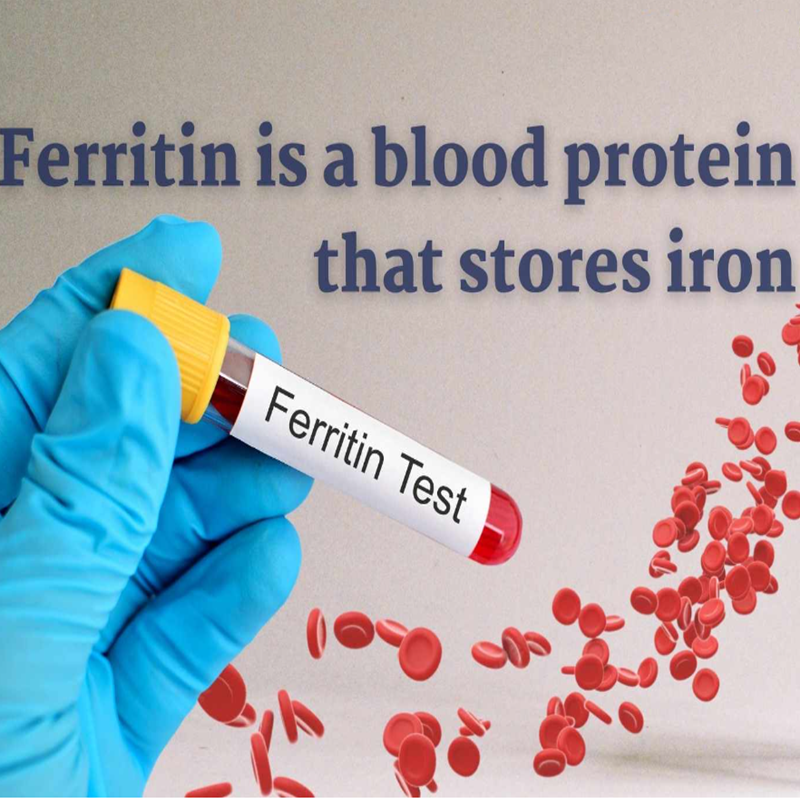 Do you know about Ferritin ?
